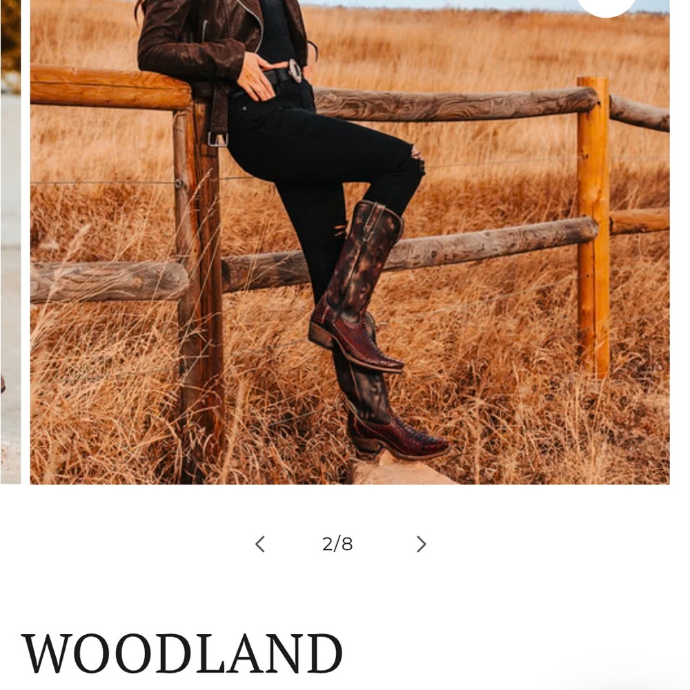 FREEBIRD BOOTS BRAND NEW NEVER WORN!